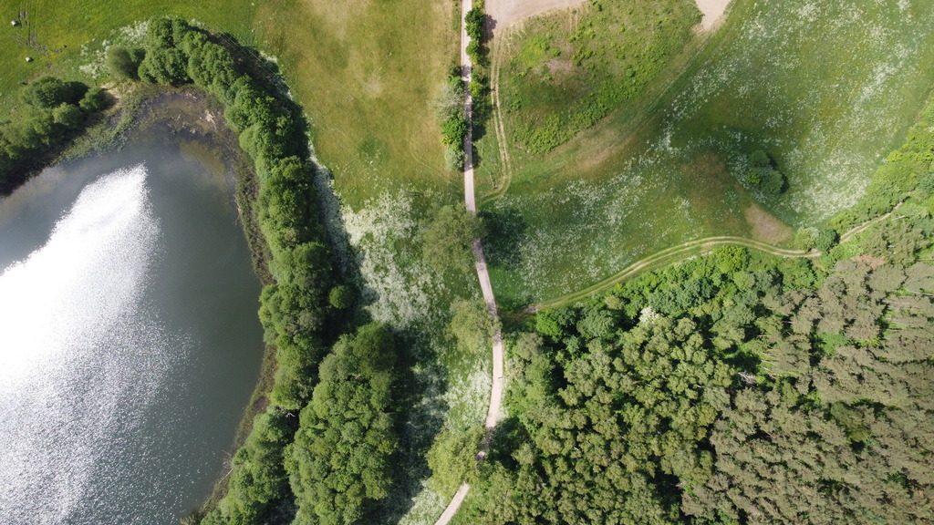 Działka bud.1501m2,obr.Piława,przy J.Łąkie,las. (23)