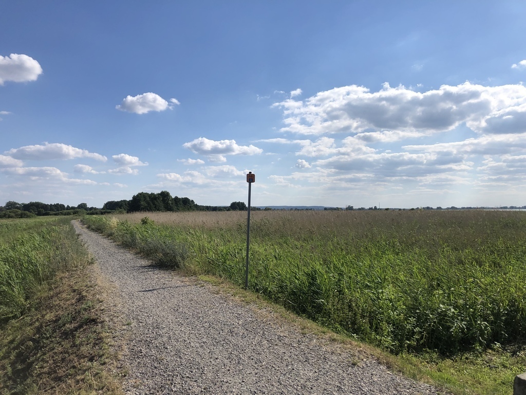 Bliźniak pod Szczecinem (4)