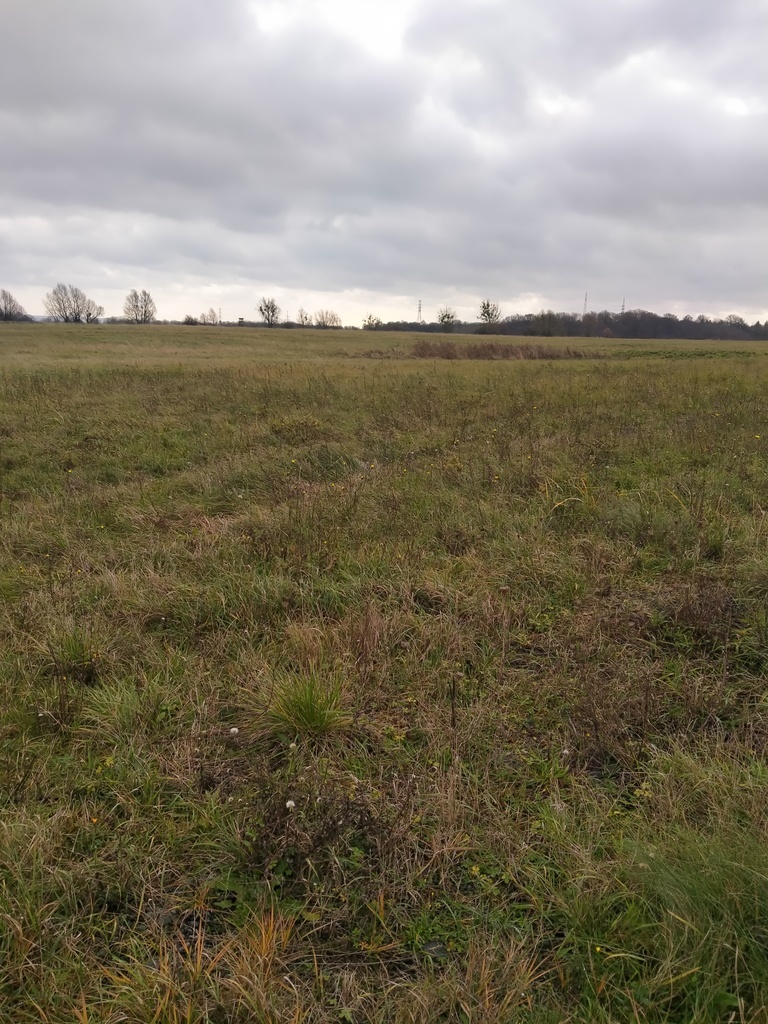 Działka Szczecin-Skolwin 3074 m2. (1)