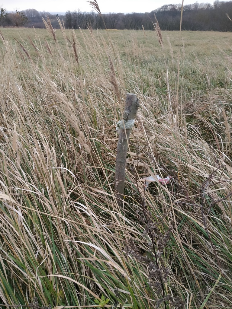 Działka Szczecin-Skolwin 3074 m2. (9)