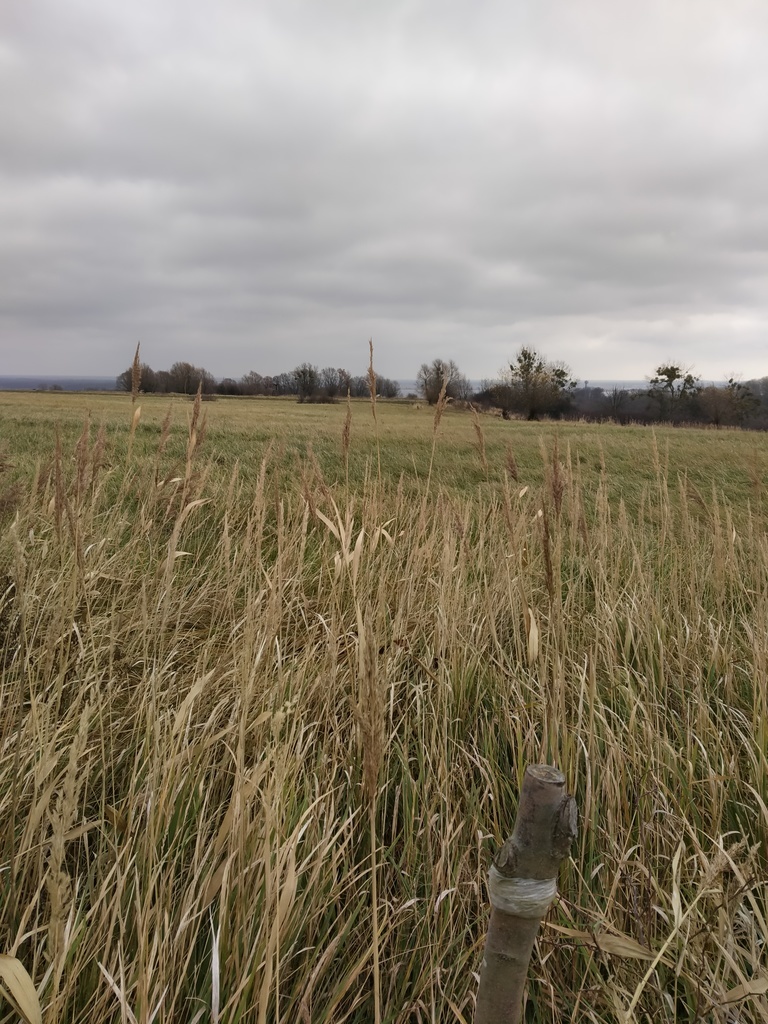 Działka Szczecin-Skolwin 3074 m2. (2)