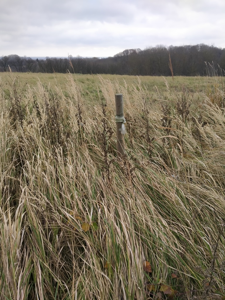 Działka Szczecin-Skolwin 3074 m2. (12)