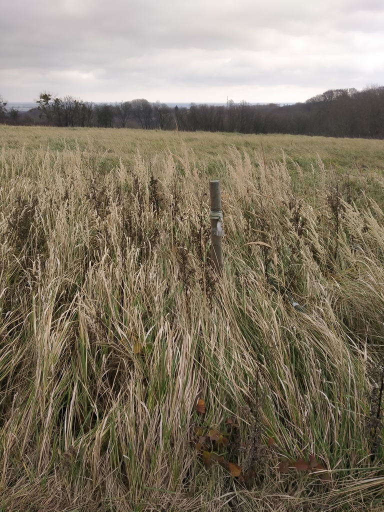 Działka Szczecin-Skolwin 3074 m2. (14)