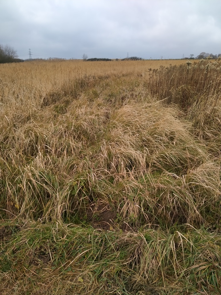 Działka Szczecin-Skolwin 3074 m2. (16)