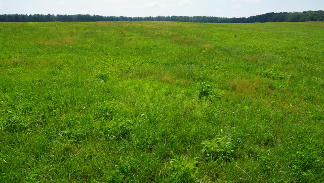 Budowlana, 120,880 m2, Bobolice  (7)