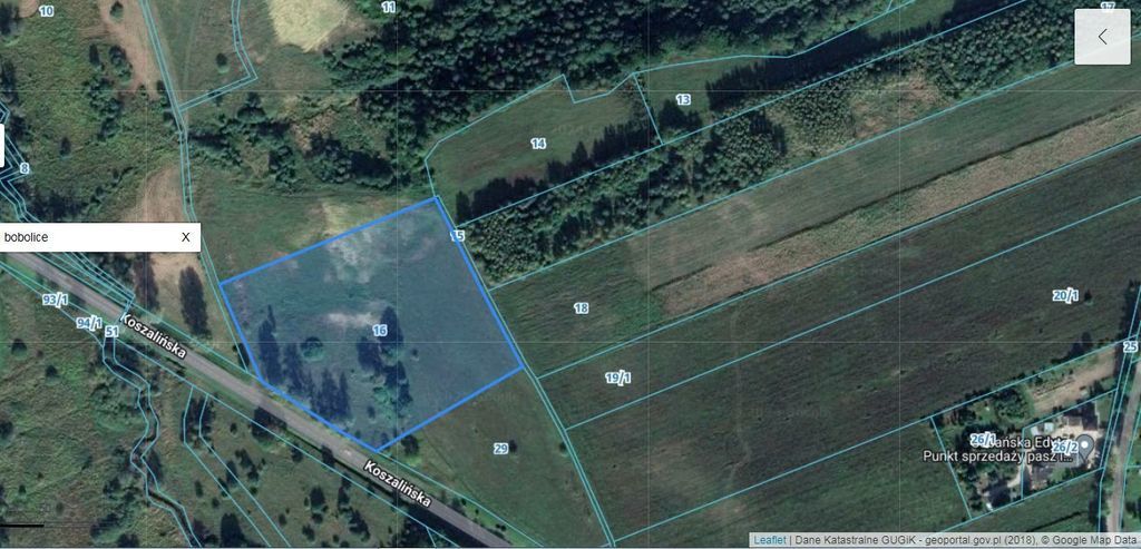 Działka 2.3103ha,m.Bobolice,las,dr.asfaltowa. (4)