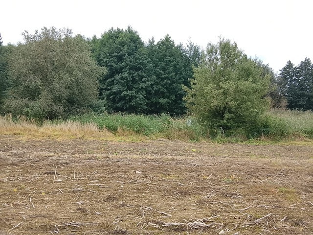 Budowlana, 1,492 m2, Stara Dąbrowa  (14)