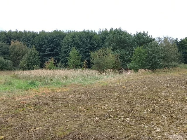 Budowlana, 1,492 m2, Stara Dąbrowa  (15)