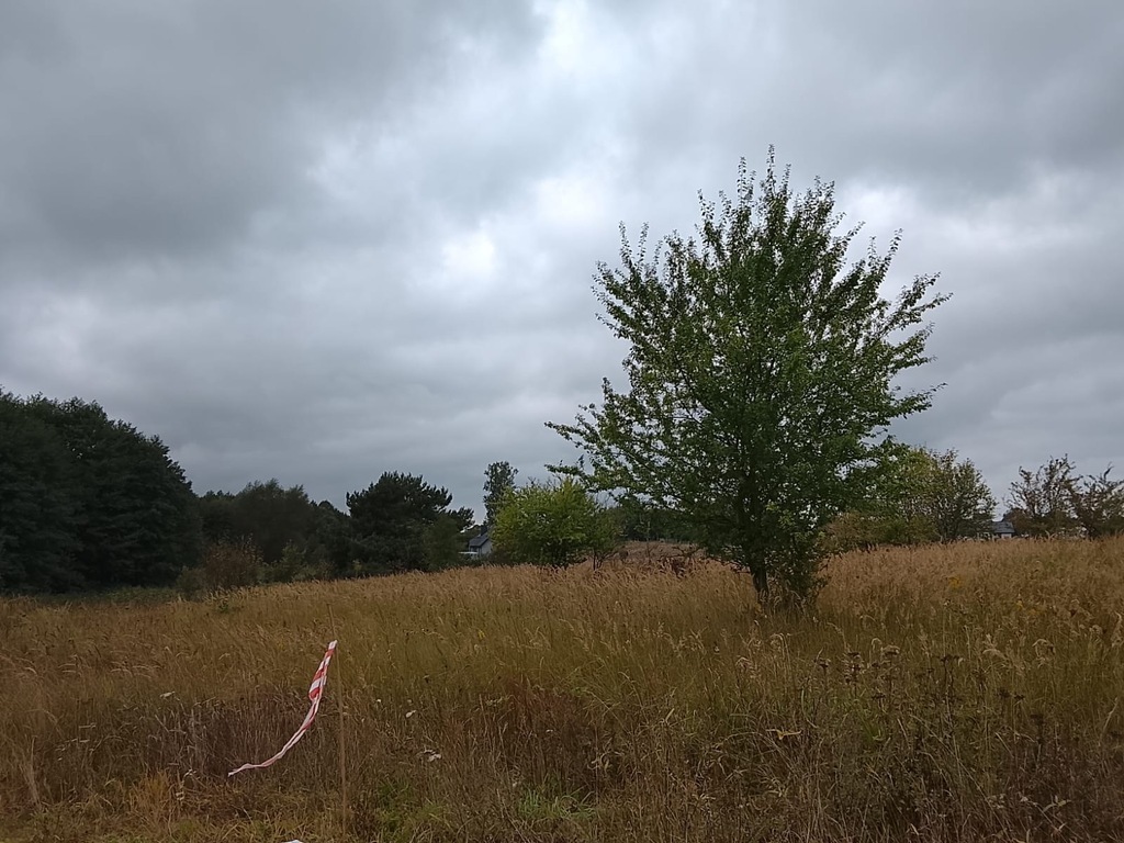 Budowlana, 1,492 m2, Stara Dąbrowa  (20)