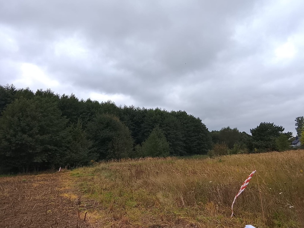 Budowlana, 1,492 m2, Stara Dąbrowa  (21)