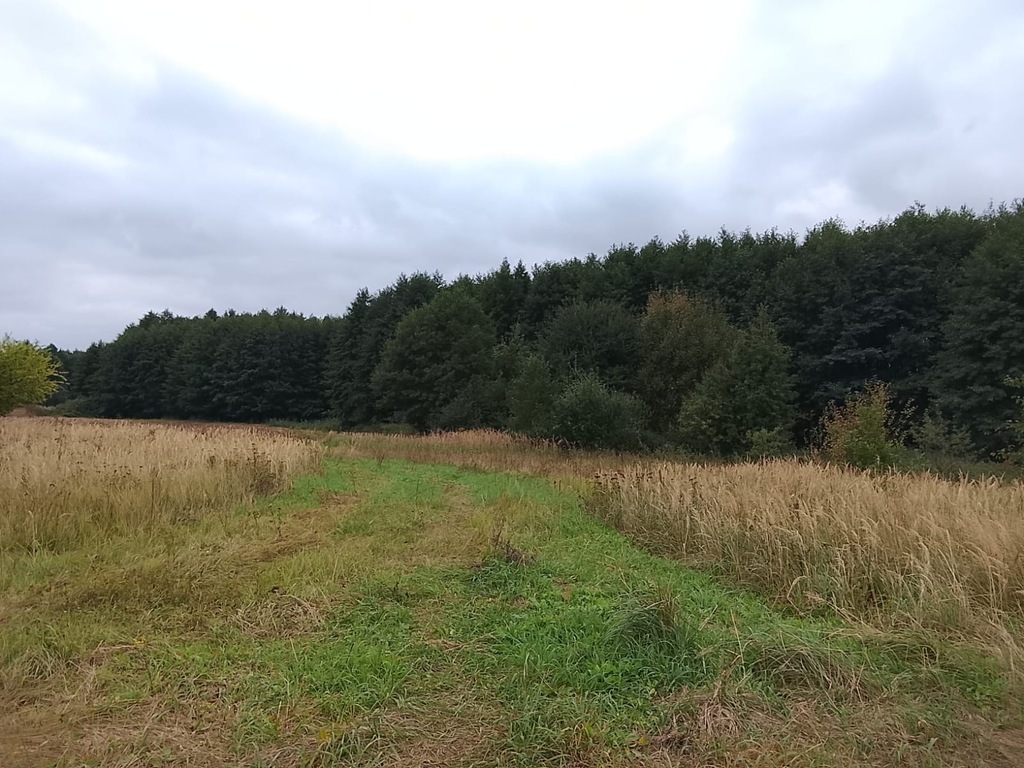 Budowlana, 1,492 m2, Stara Dąbrowa  (22)