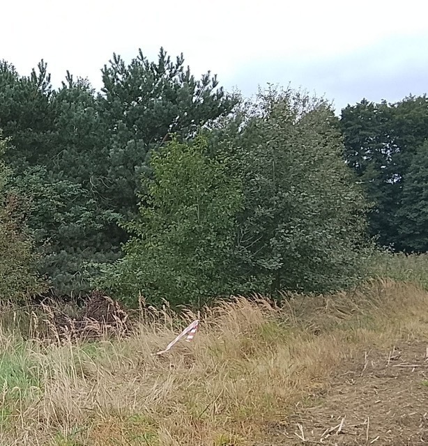 Budowlana, 1,492 m2, Stara Dąbrowa  (23)