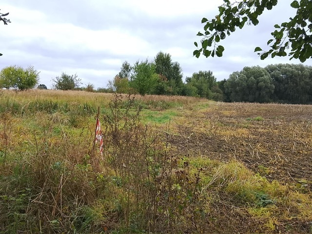 Budowlana, 1,492 m2, Stara Dąbrowa  (25)