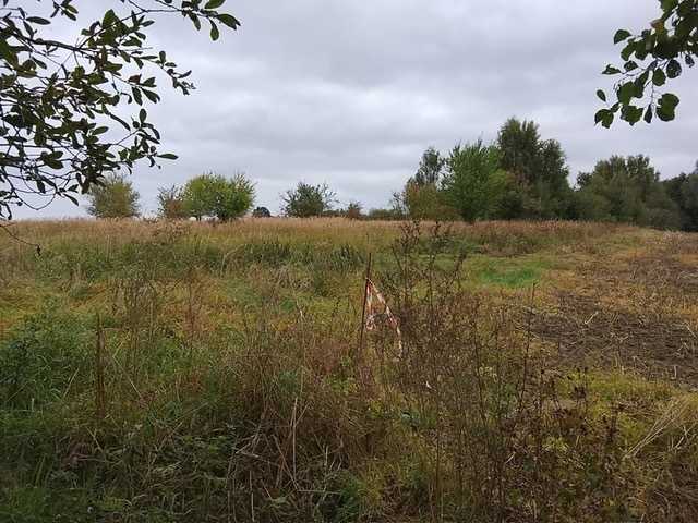 Budowlana, 1,492 m2, Stara Dąbrowa  (26)