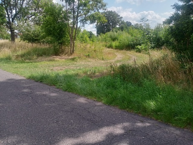 Budowlana, 1,492 m2, Stara Dąbrowa  (5)