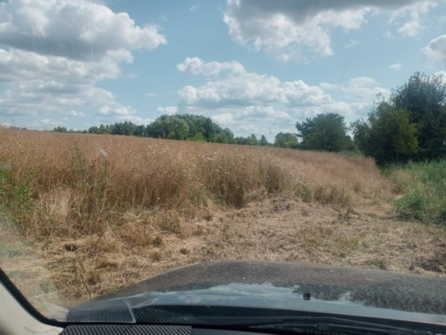 Budowlana, 1,492 m2, Stara Dąbrowa  (7)