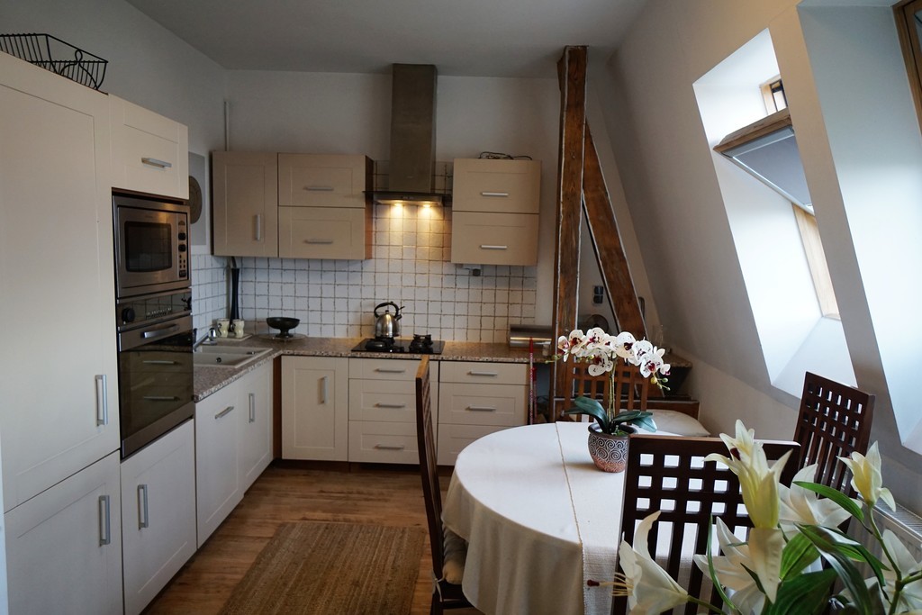 Apartament studio Centrum (6)