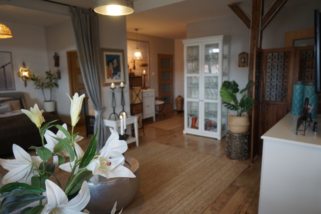 Apartament studio Centrum (10)