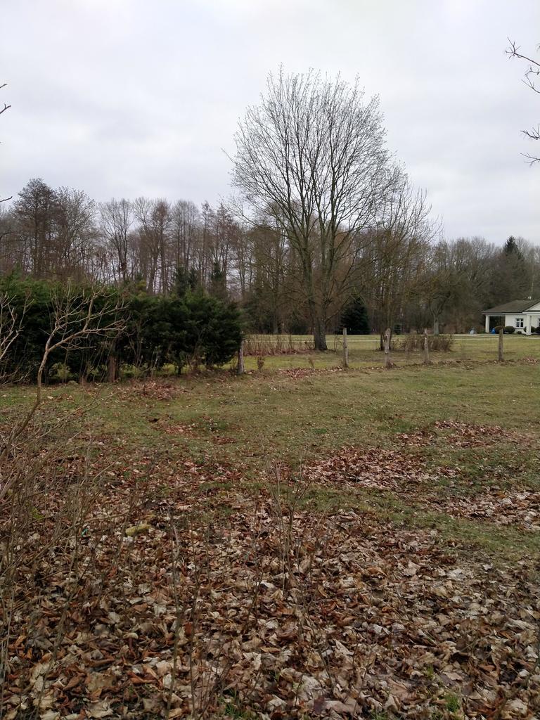 Rzędziny,2001m2,zabud. jednorodzinna,las-park. (11)