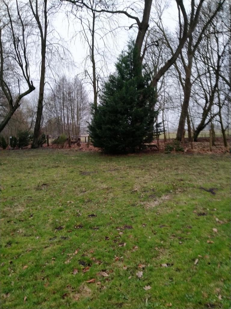 Budowlana, 2,041 m2, Rzędziny  (3)