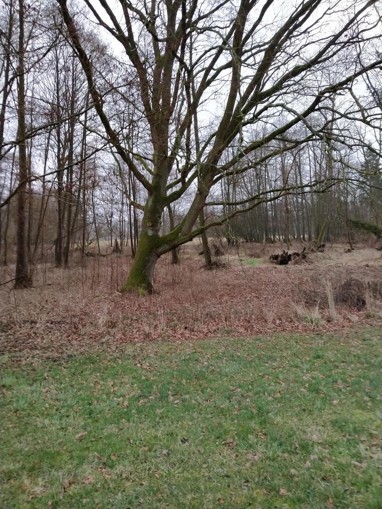 Budowlana, 2,041 m2, Rzędziny  (8)