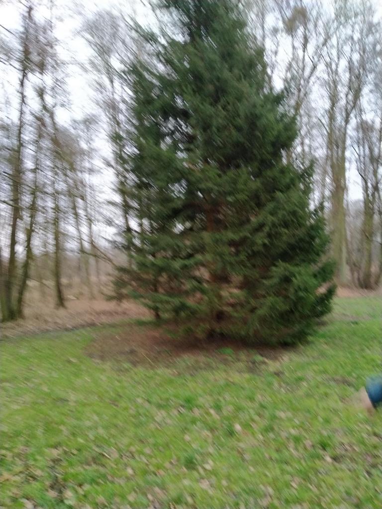 Budowlana, 2,041 m2, Rzędziny  (12)