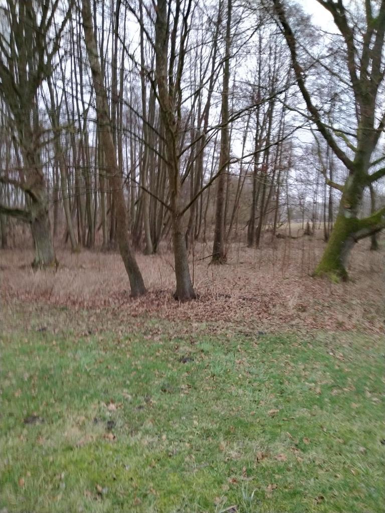 Budowlana, 2,041 m2, Rzędziny  (9)