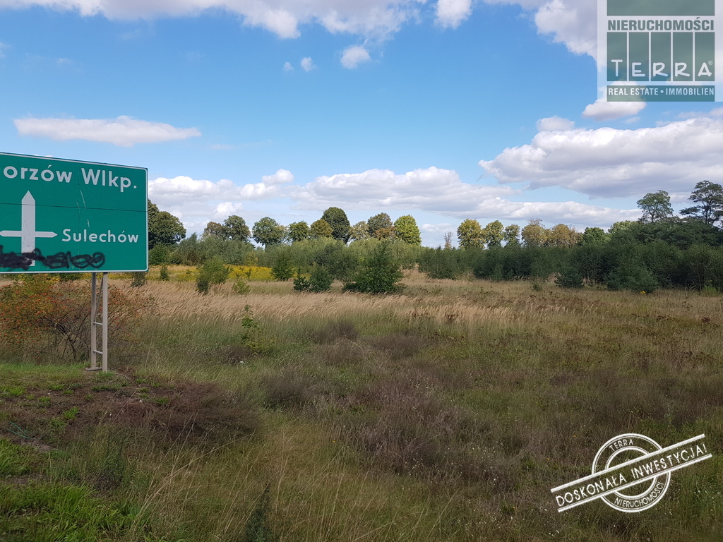 TEREN INWESTYCYJNY W STREFIE PRZEMYSŁOWEJ (1)