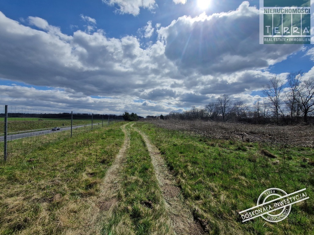 TEREN INWESTYCYJNY PRZY TRASIE S3 (4)