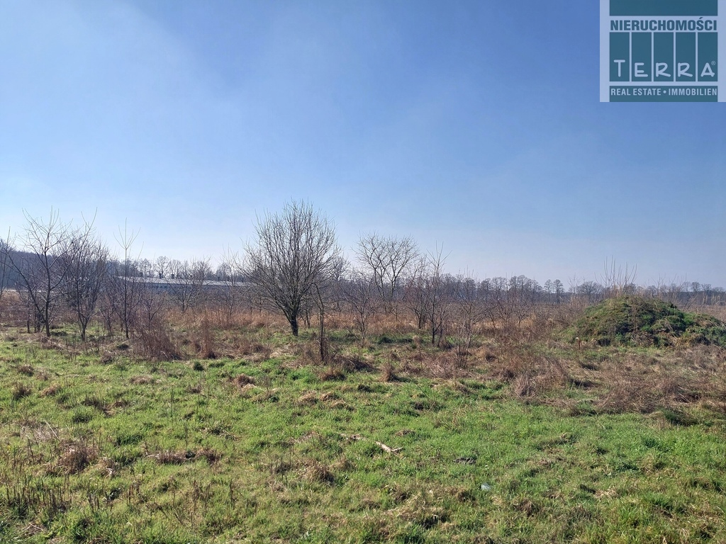 DZIAŁKA BUDOWLANA W OCHLI (4)
