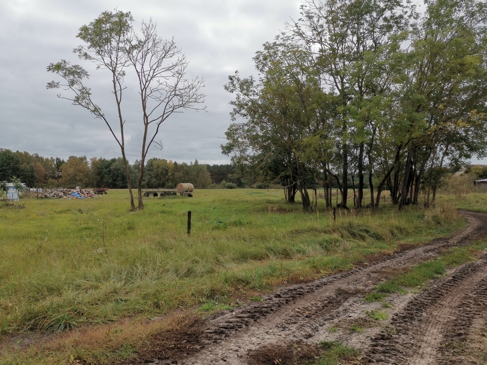 Bardzo ładna działka w pobliżu lasu (2)
