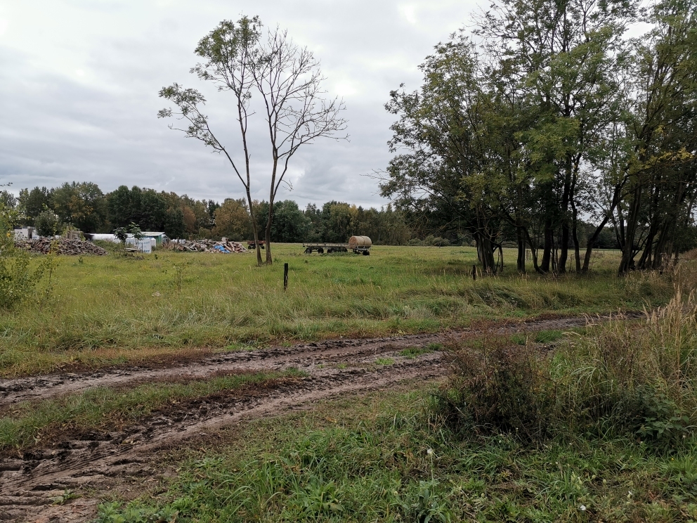 Bardzo ładna działka w pobliżu lasu (1)