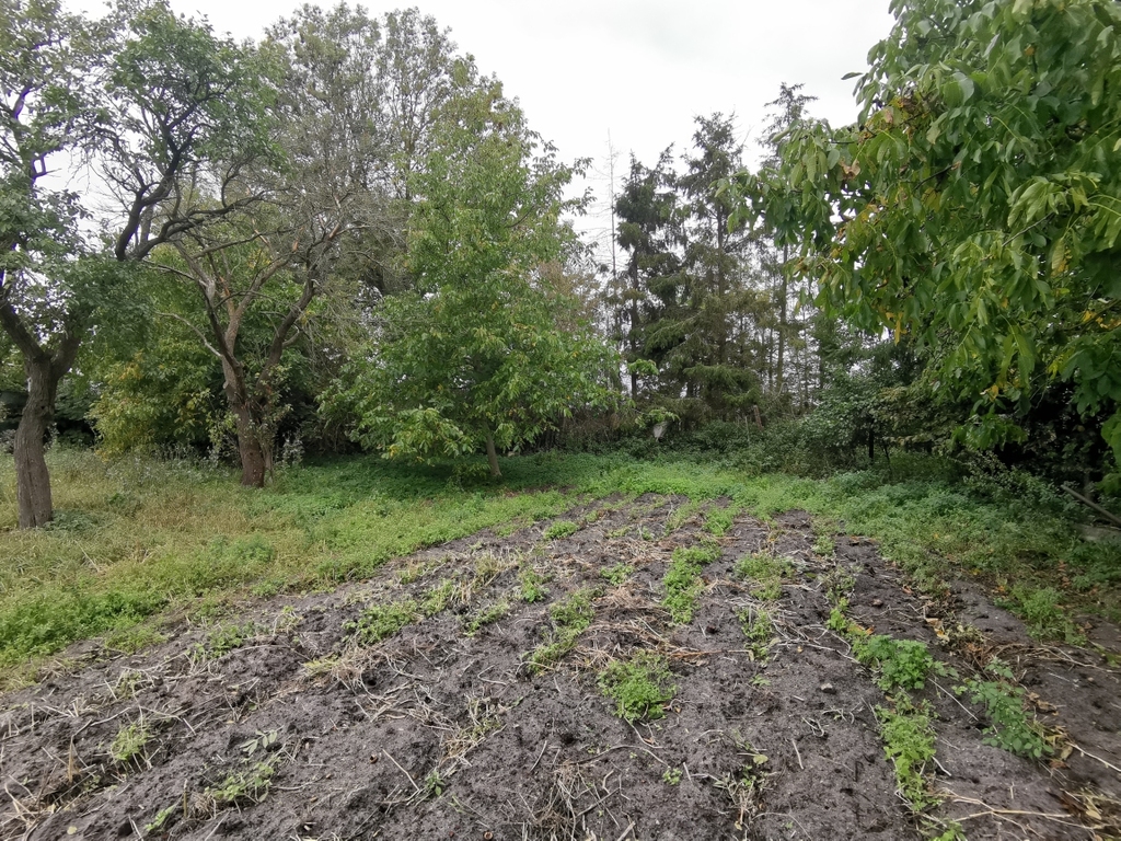 Nieruchomość zabud bud. do rem. kap. lub rozbiórki (8)