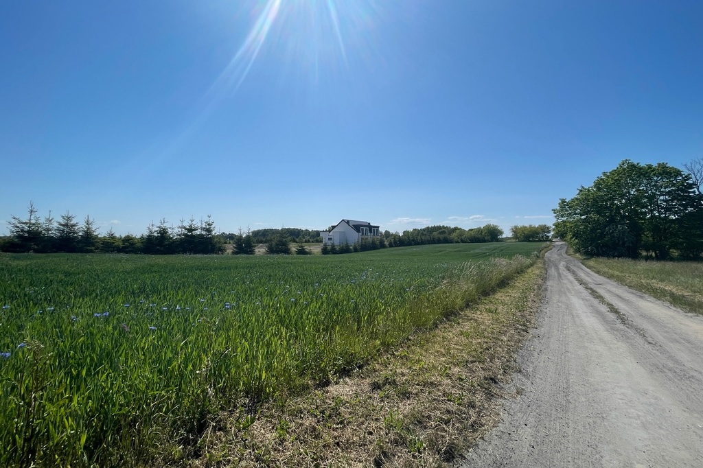 Siedliskowa, 3,040 m2, Stramnica  (6)