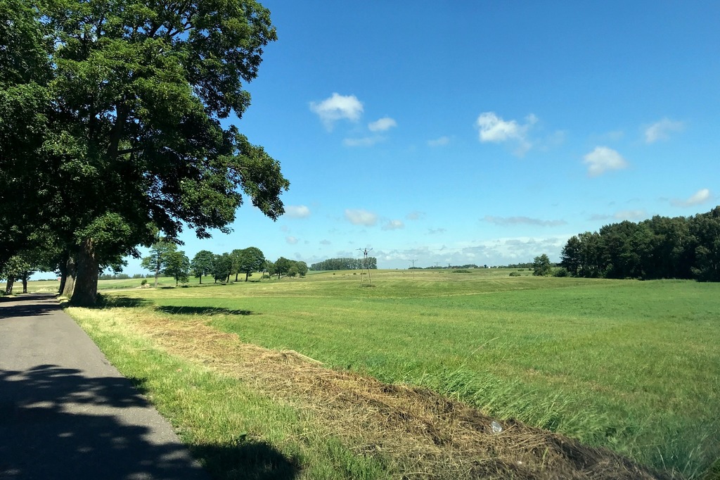 Rolna, 25,600 m2, Stary Borek  (4)