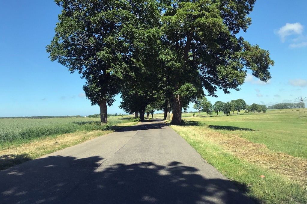 Rolna, 25,600 m2, Stary Borek  (6)