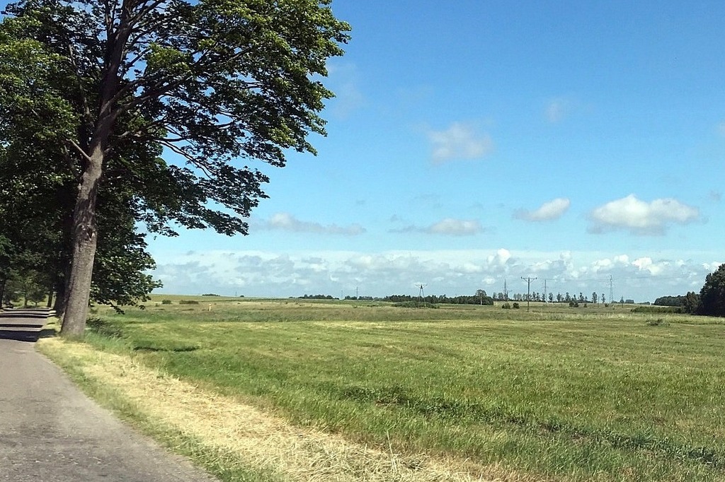 Rolna, 25,600 m2, Stary Borek  (3)