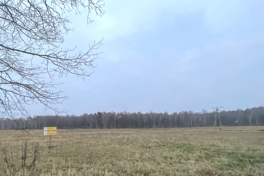 Rolna, 25,600 m2, Stary Borek  (2)