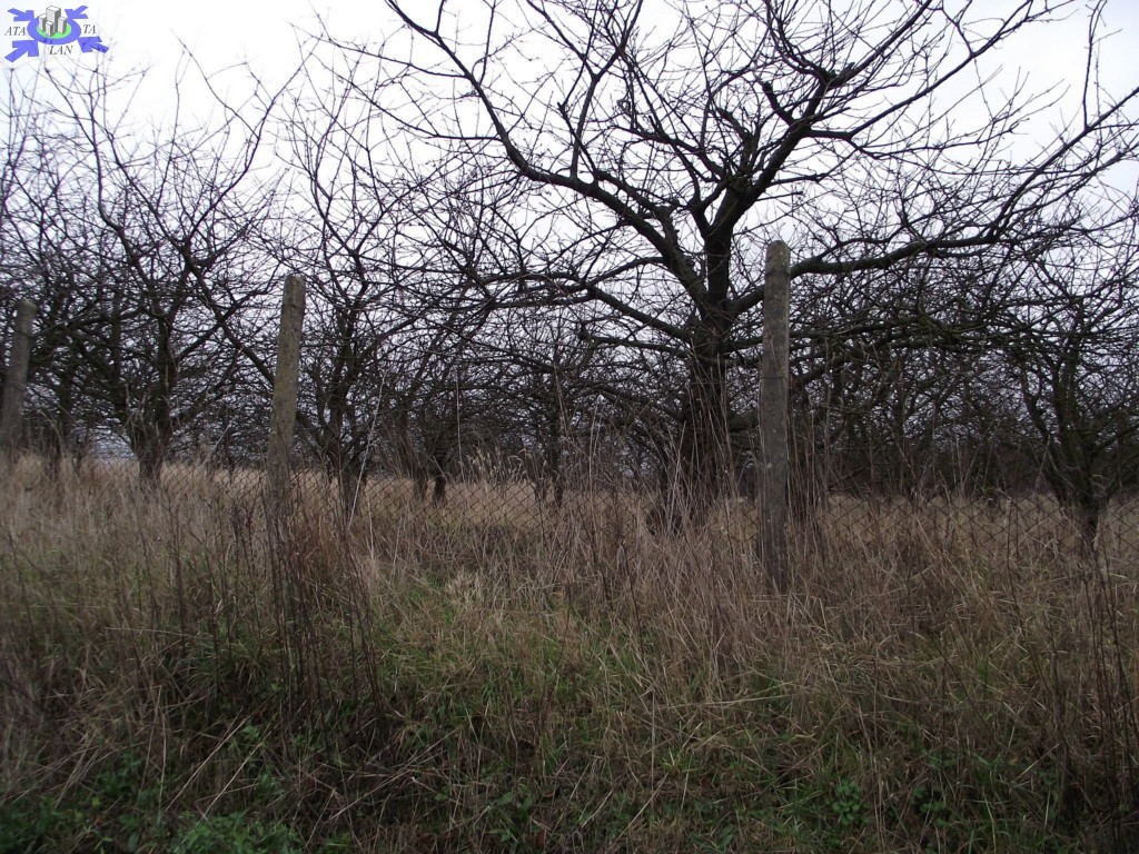 Rolna, 10,000 m2, Stobno  (1)