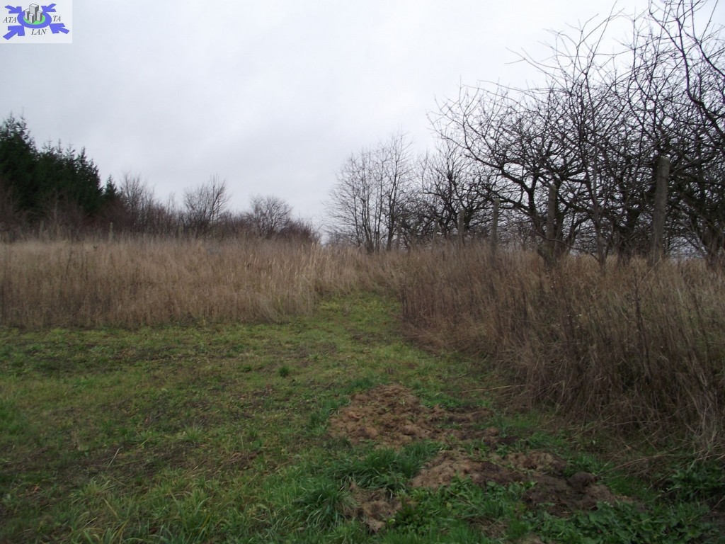 Rolna, 10,000 m2, Stobno  (2)