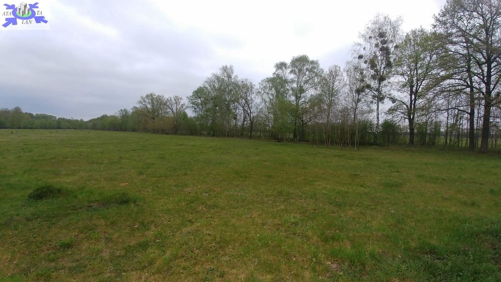 Budowlana, 3,210 m2, Rzędziny  (4)