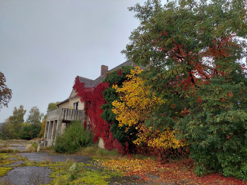 Duża działka  w kolicy Marianowa (1)