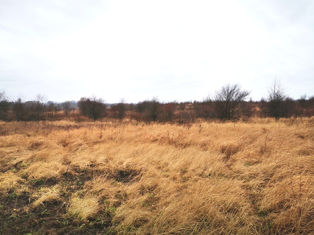 MORZYCZYN Działki z WZ (1)