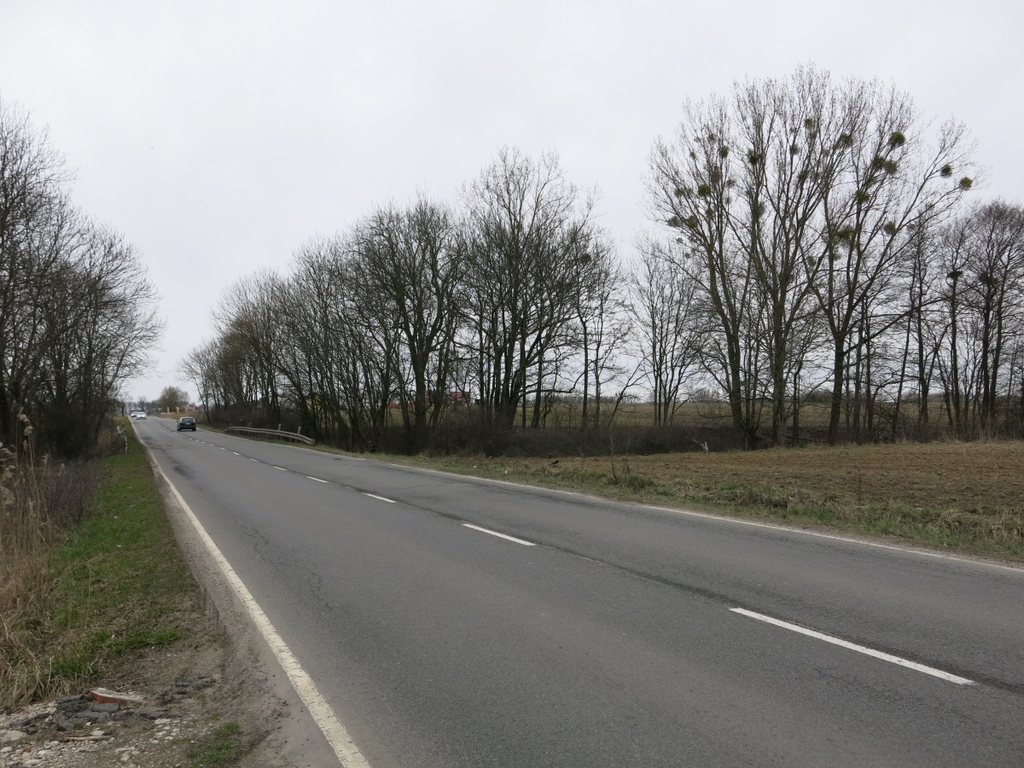 Przęsocin, przy ul. Szczecińskiej, pod inwestycję! (2)