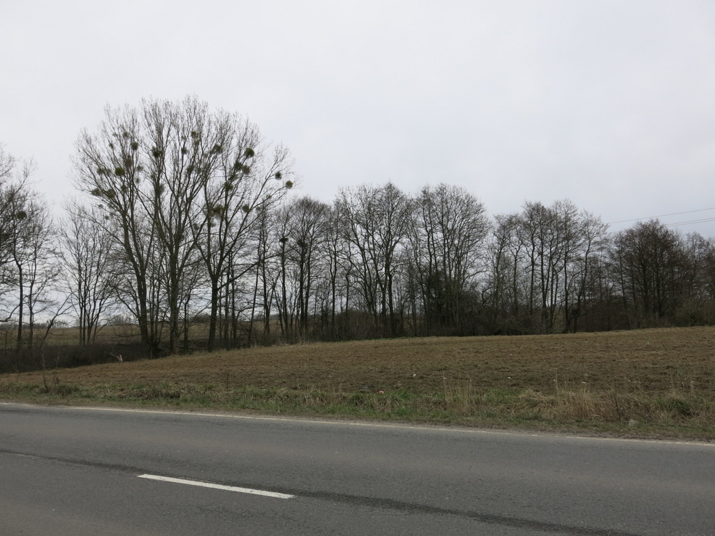 Przęsocin, przy ul. Szczecińskiej, pod inwestycję! (3)