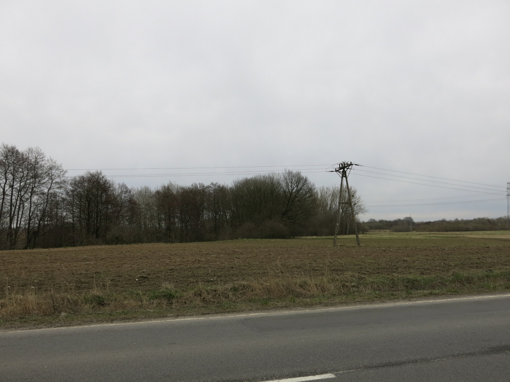 Przęsocin, przy ul. Szczecińskiej, pod inwestycję! (4)