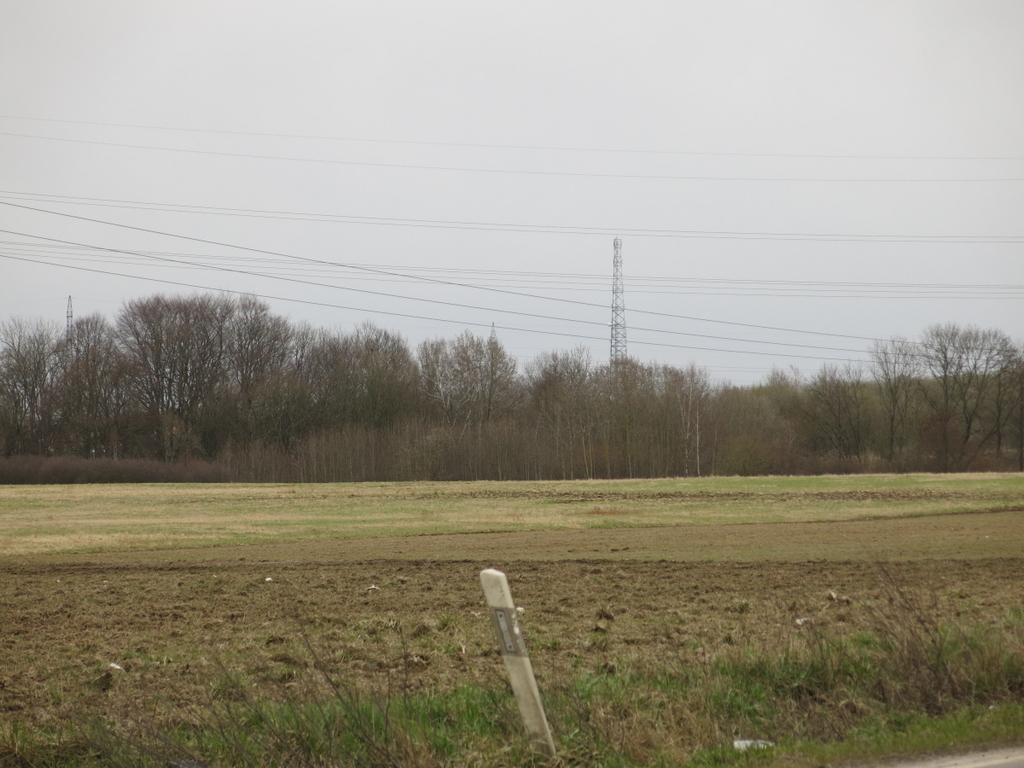 Przęsocin, przy ul. Szczecińskiej, pod inwestycję! (7)