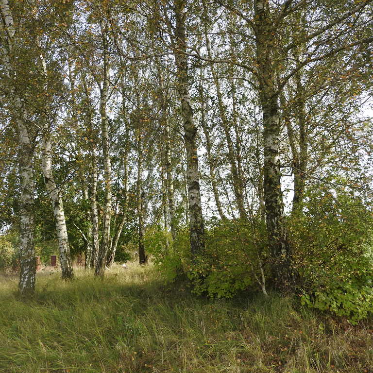 REZYDENCJONALNY DOM WOLNOSTOJĄCY (7)