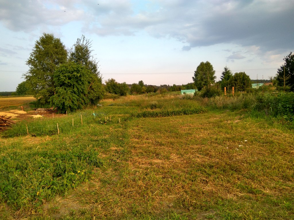 Mieszkanie z działką okolice  Kalisza  Pomorskiego (9)