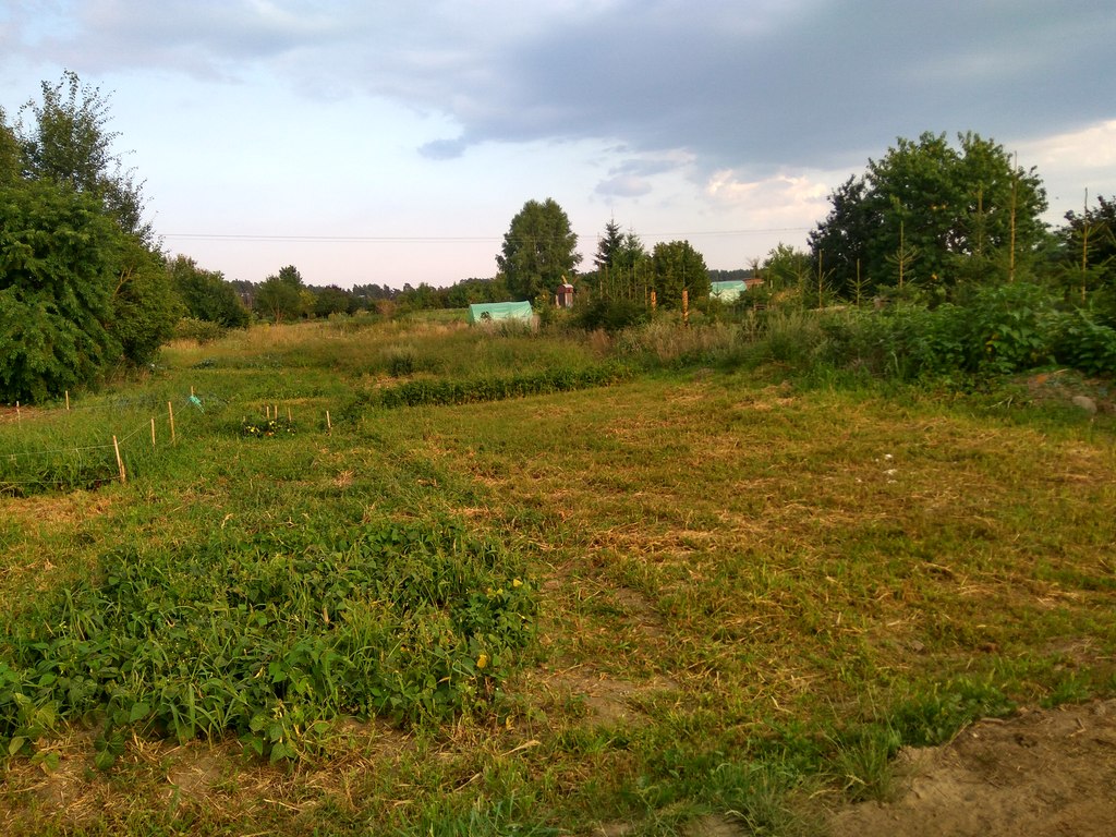 Mieszkanie z działką okolice  Kalisza  Pomorskiego (10)